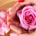 Controlling Oil On Skin With Rose Water