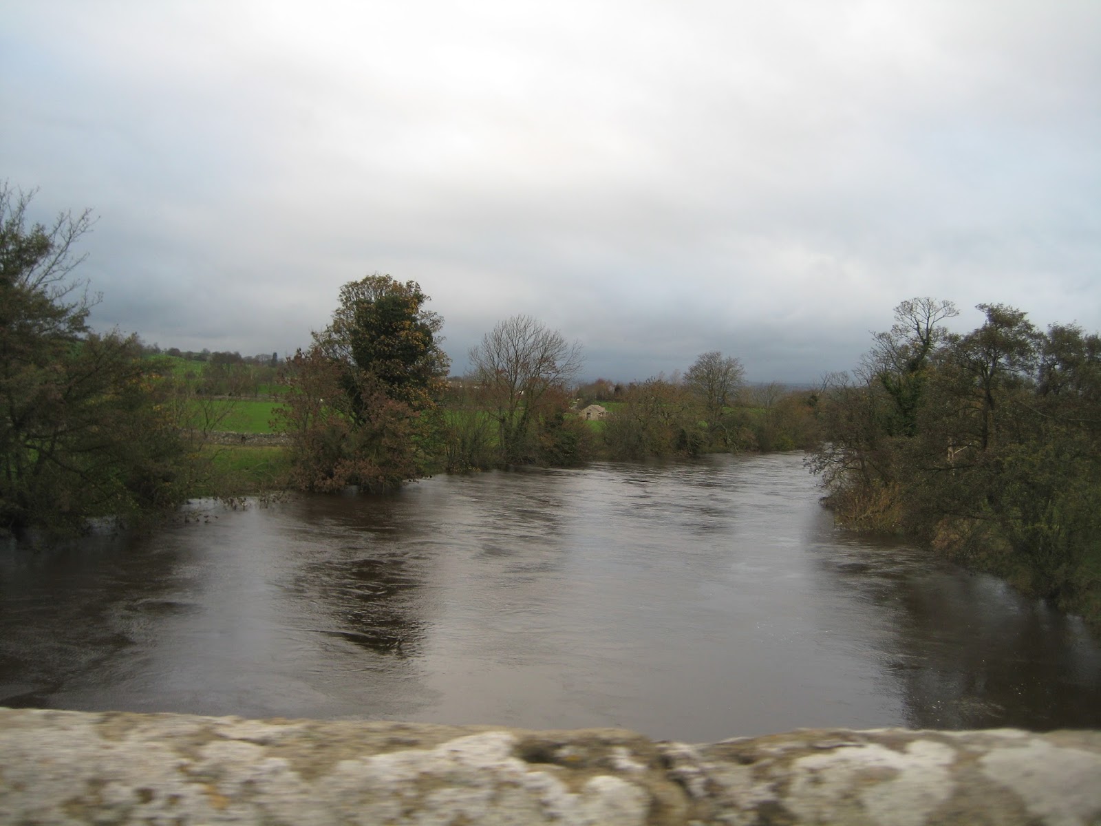 The Weaver of Grass Weather.