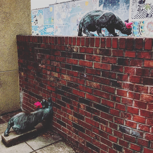Alley Cats Yarn Bomb Pussy Ashville photographer Sarah Bello