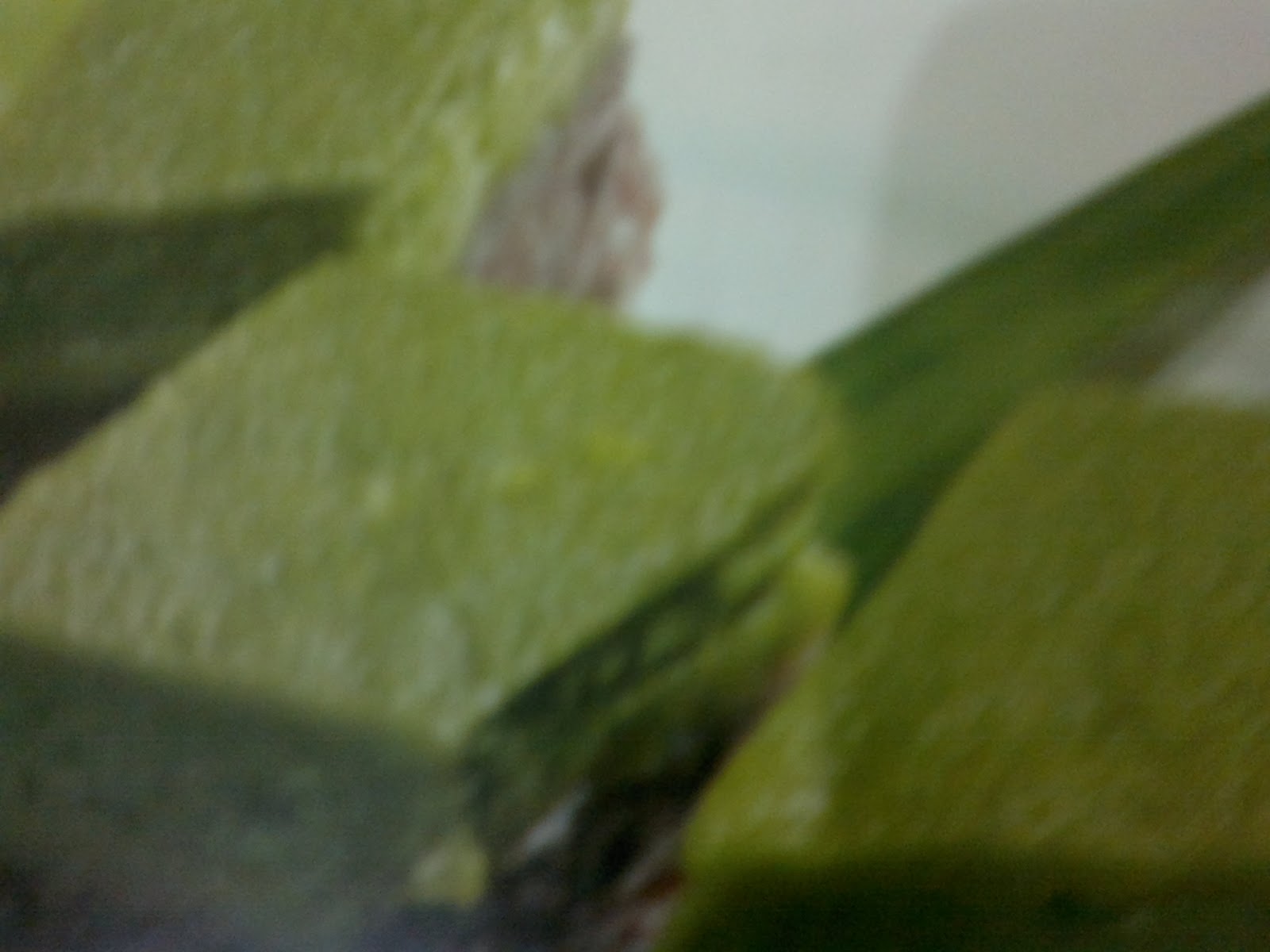 Http:lindacameron.blogspot.com~**~: SERI MUKA PULUT HITAM