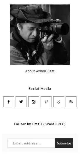 AvianQuest.Com New Minimalist Template Sidebar  Navigation and Social Media Features & RSS