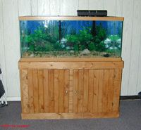 75 Gallon Fish Tank Stand