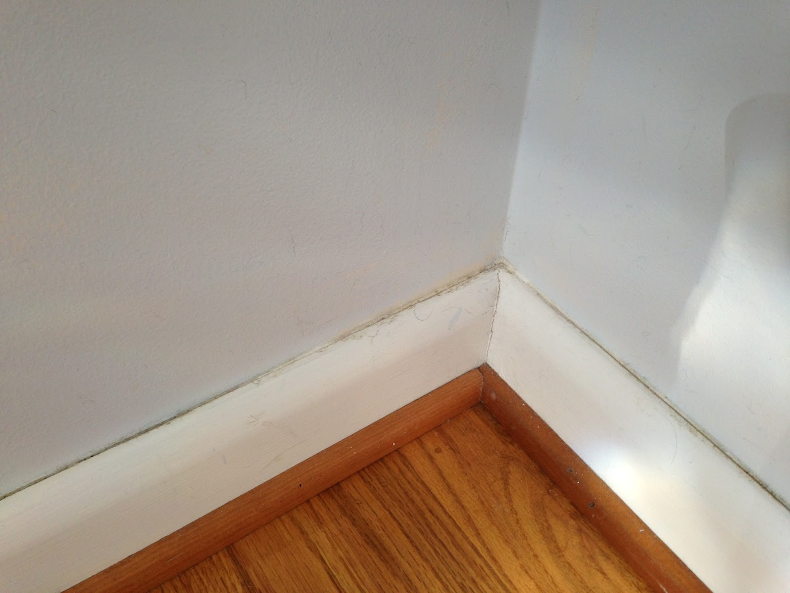 Pinterest Thursday Dryer Sheet Baseboard Cleaning Rebecca Mongrain's Blog