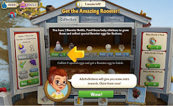 coop rooster guide booster chickens bottles feed 1st