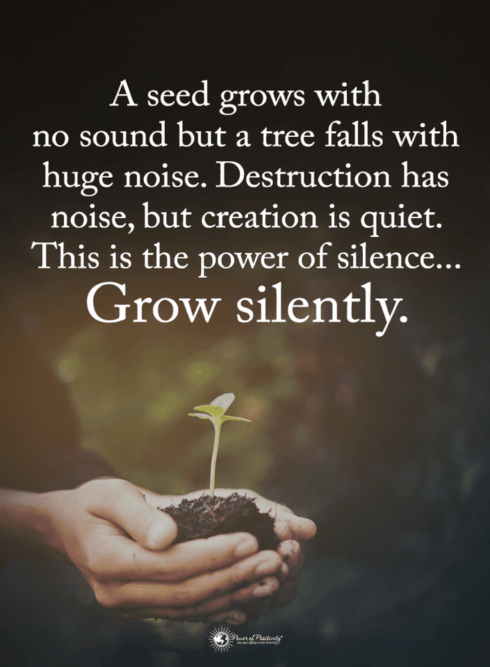 Quotes A Seed grows with no sound but a tree falls with huge noise