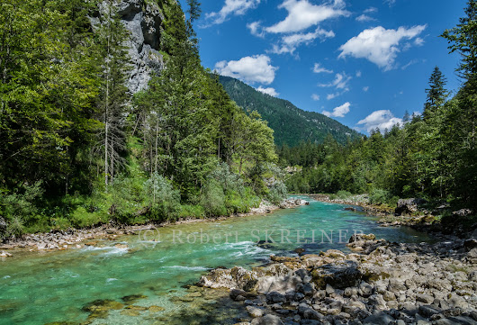 Robert SKREINER - Blog