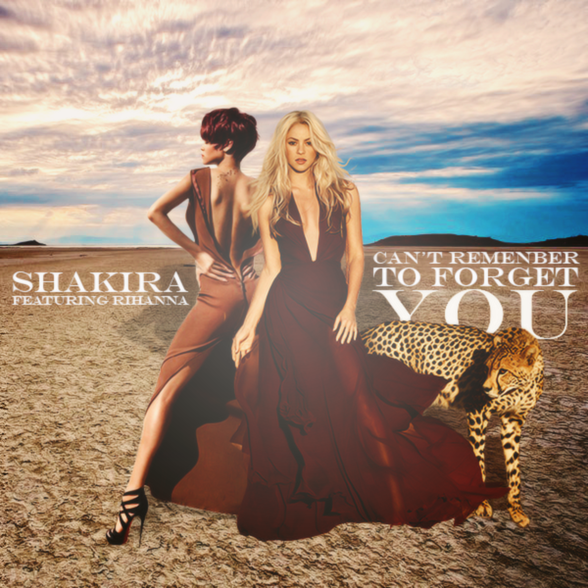 Can t remember to forget you shakira. Shakira Rihanna.