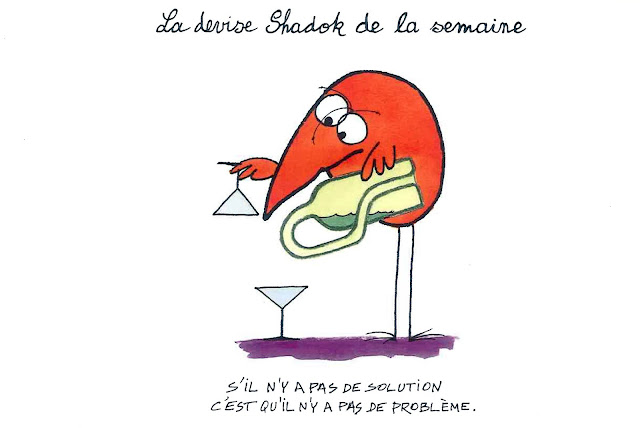 Shadok Pourquoi Faire Simple Quand On Peut Faire Compliqué Le blog du chantier autour des Portes du Tarn