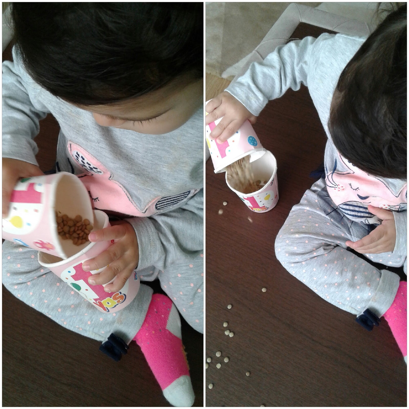 Montessori Etkinlikleri 15 Aylık (16. Ay) Bebek Etkinlikleri