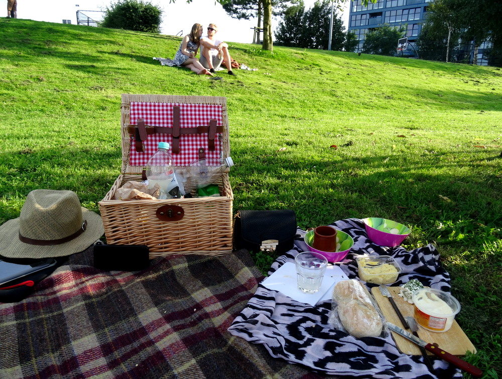 Utrecht, Netherlands: Summer Picnic at the Grift Park ...
