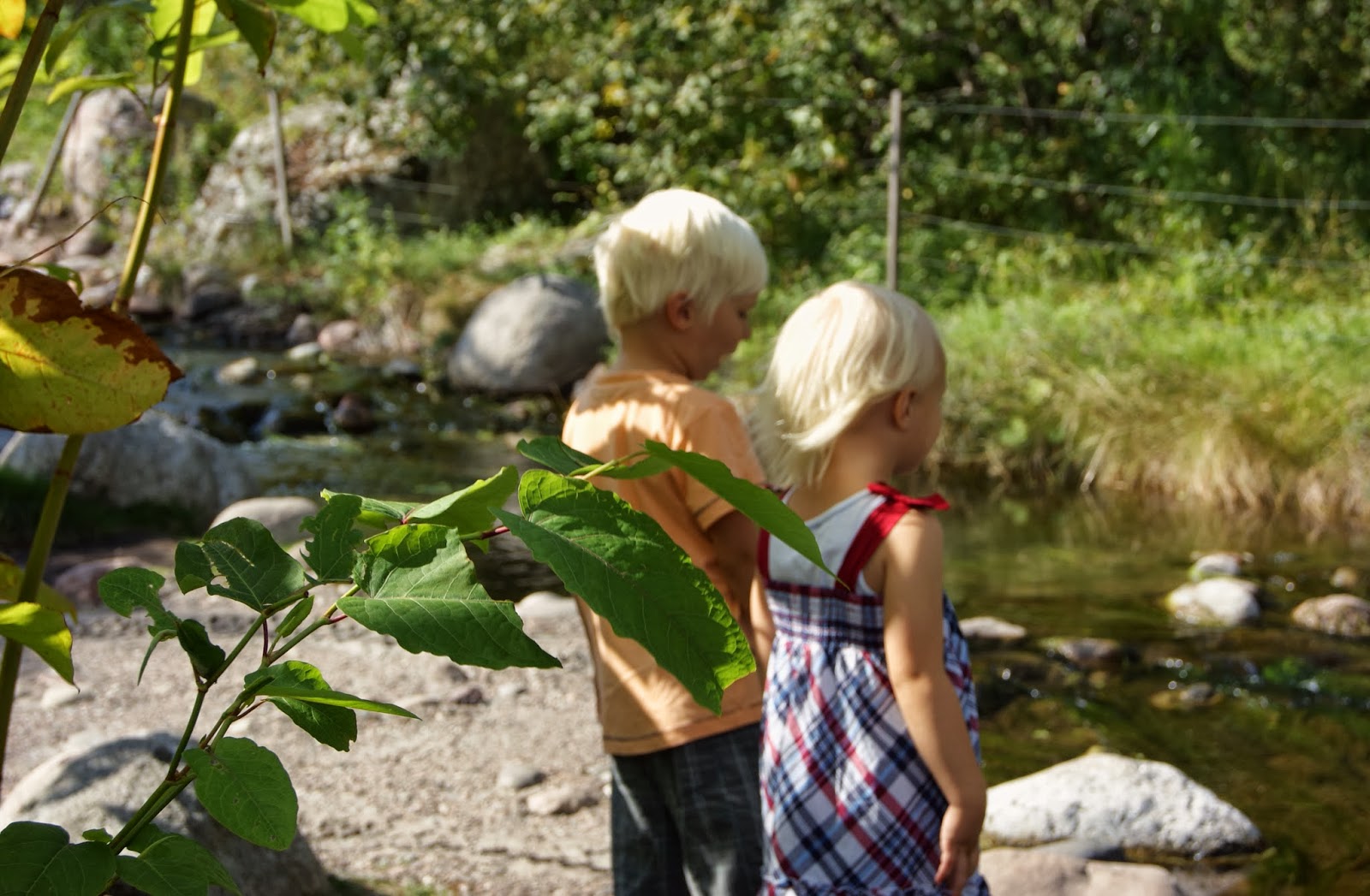 ÄLDRE KVINNOR SOM SÖKER YNGRE MÄN KNULL TJEJER Dejting Appar För äldre Ensamstående Kvinnor I Boo