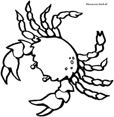 19+ Info Terpopuler Gambar Sketsa Kepiting
