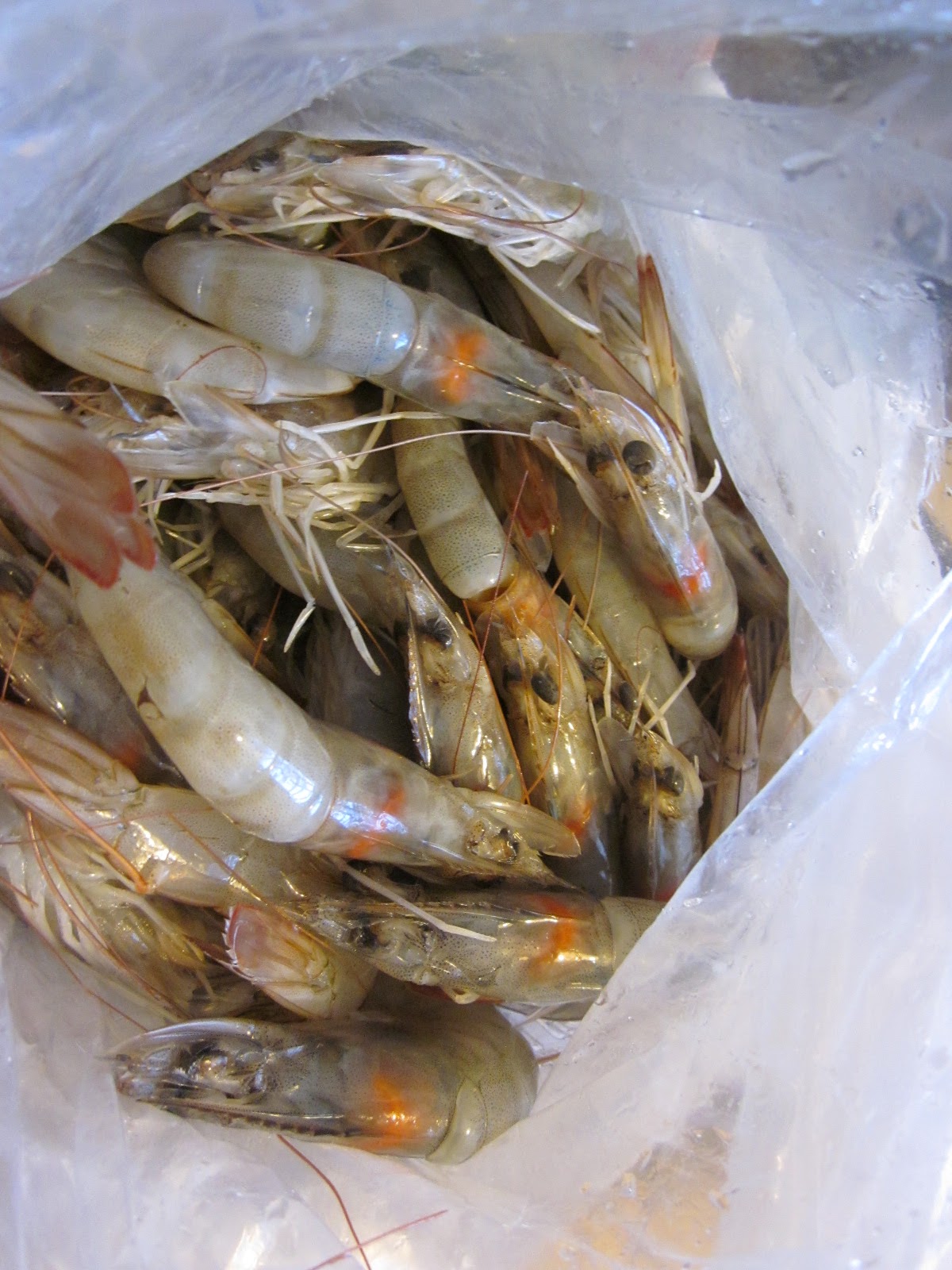 Effortnesslessly Shrimp Consomme, Oriental Style