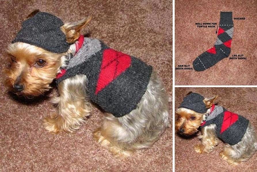 Ideas & Products Dog Sweaters