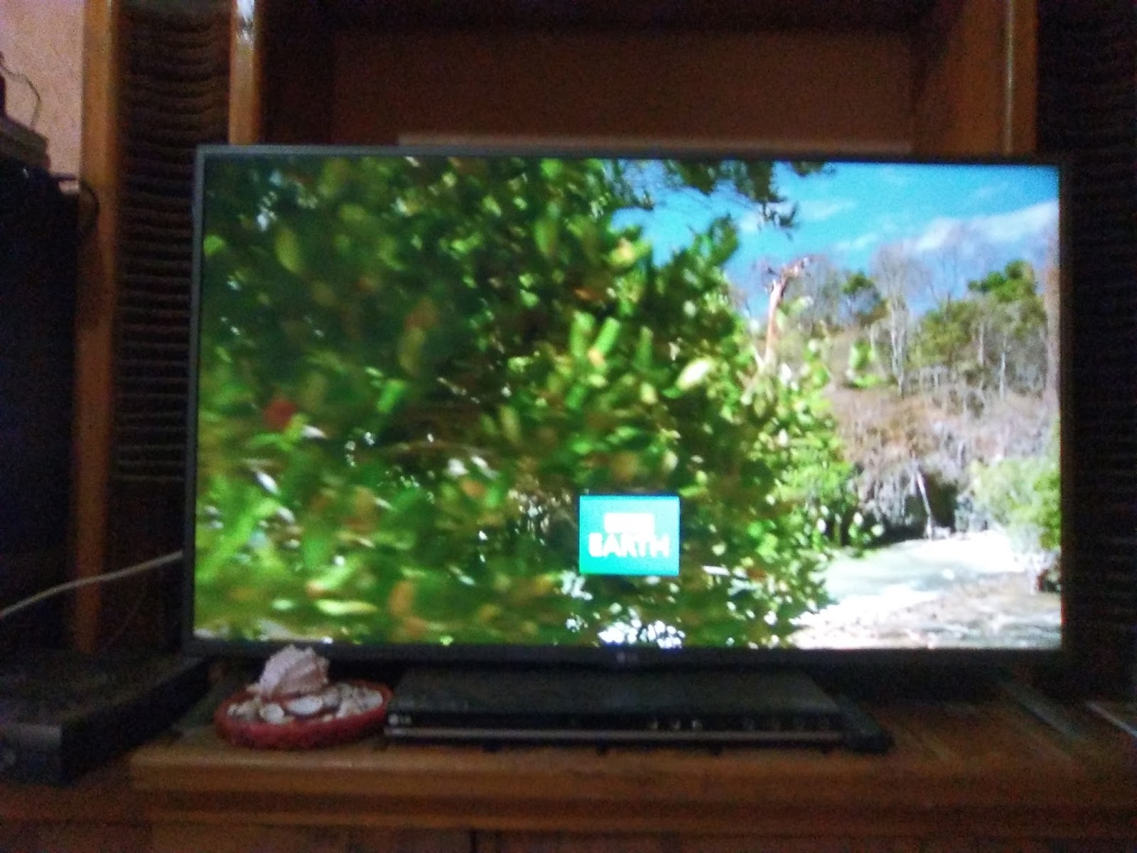 12GB|BBC|Madagascar Salvaje|FullHD 1080p|4-4|Mega|Taykun7000