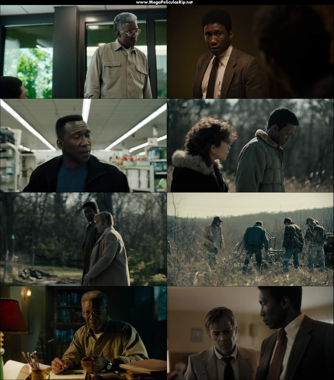 True Detective Temporada 3 1080p Latino