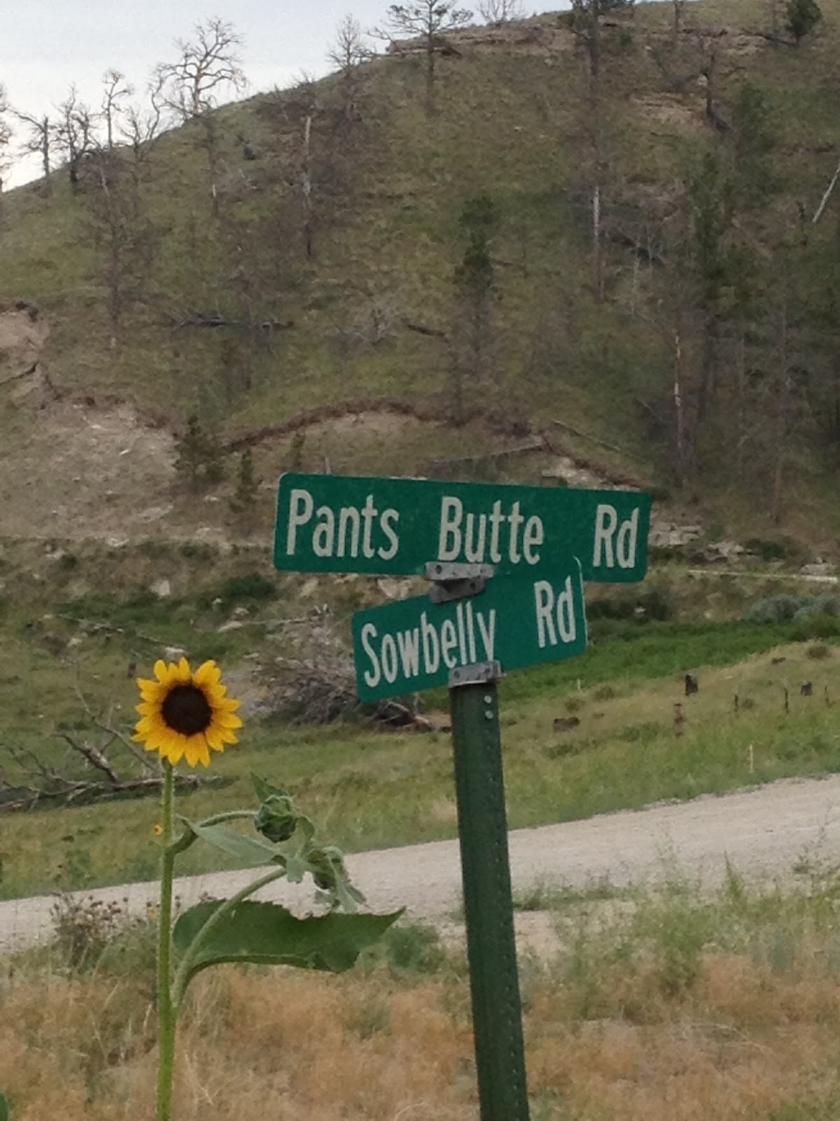 interested party Postfire photos of Hat Creek uploaded