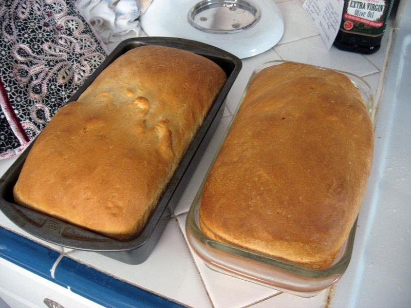 Homemade Egg Bread for Texas Toast Fresh from the...