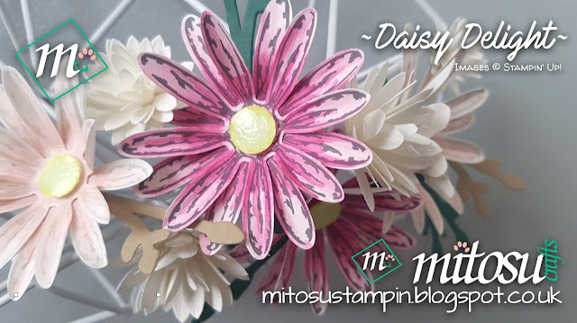 Daisy Delight Stampin Up SU Mitosu Crafts Order Stampinup Hampshire UK Online Shop 1