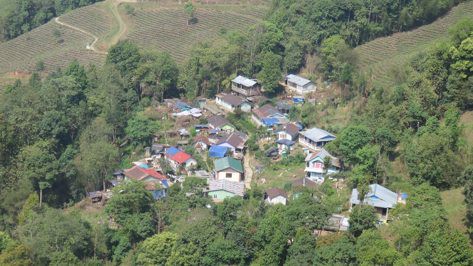 Nomadic Joe Darjeeling