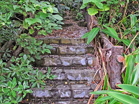 stone stairs, woods,utaki
