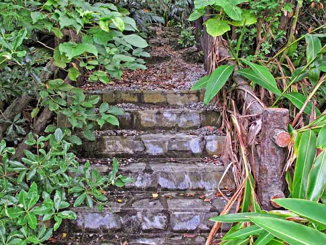 stone stairs, woods,utaki