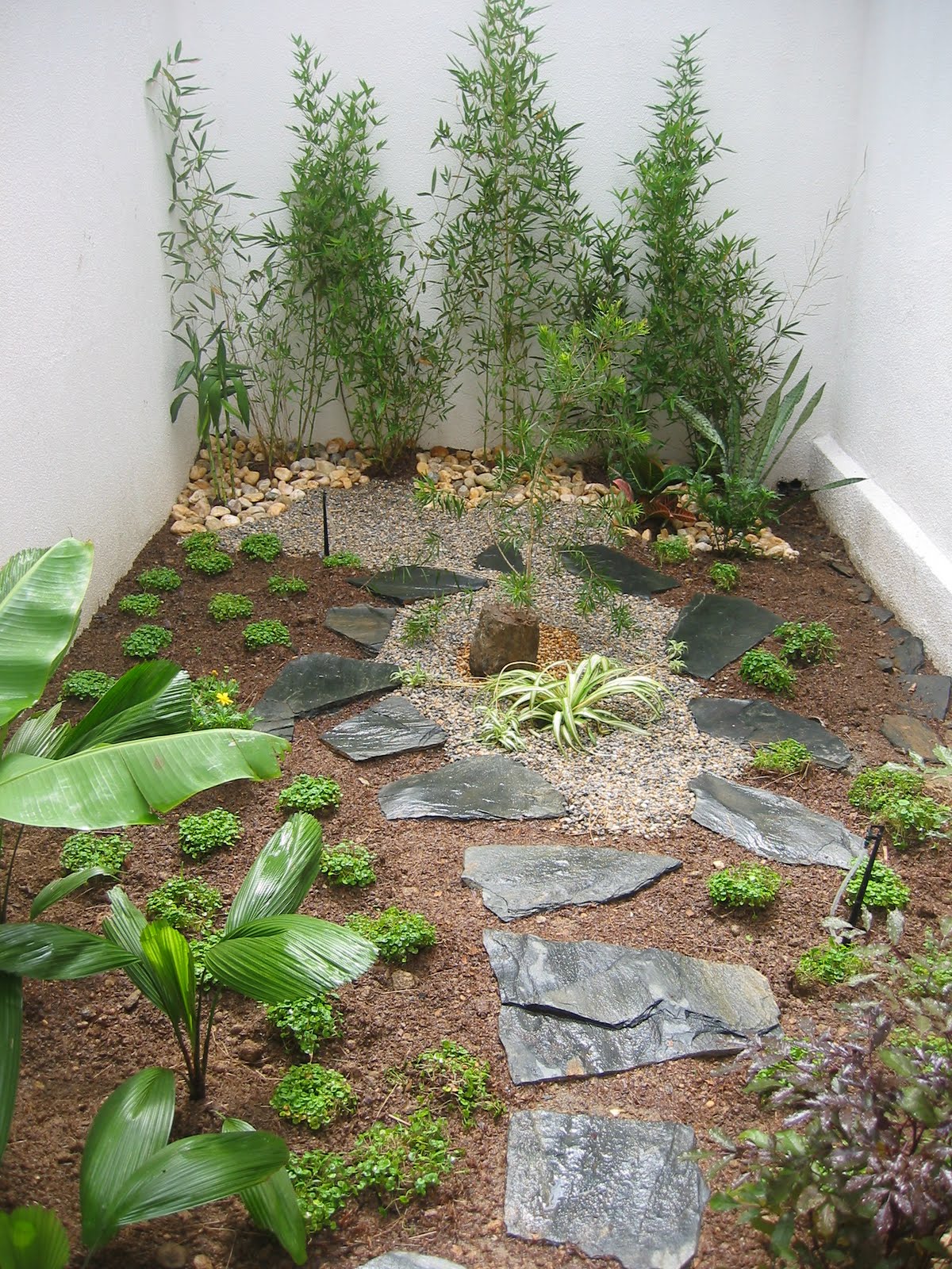 LA TIENDITA DEL BONSAI Y PAISAJISMO: JARDINES - BONSAI - PAISAJISMO