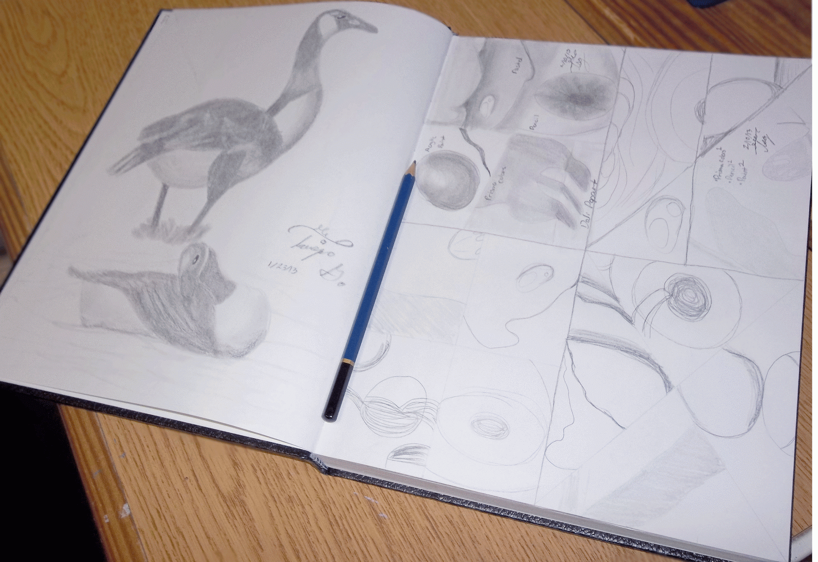 Sketch Basic Tutorial Book College Life: Basic Drawing Tutorial!