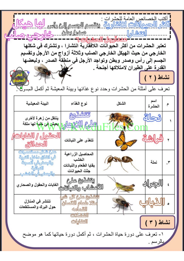 درس الحيوانات 2 منهج مساند الصف الرابع علوم الفصل الثاني المناهج الكويتية