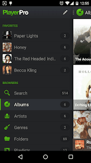 PlayerPro Music Player v5.0 build 182 APK is Here ! PlayerPro Music Player v5.0 build 182 APK is Here !