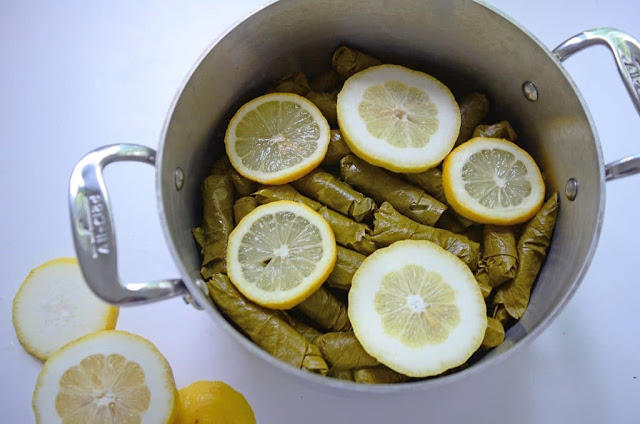 Uncooked grape leaf rolls with lemon