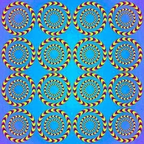 Concentric Circles Optical Illusion