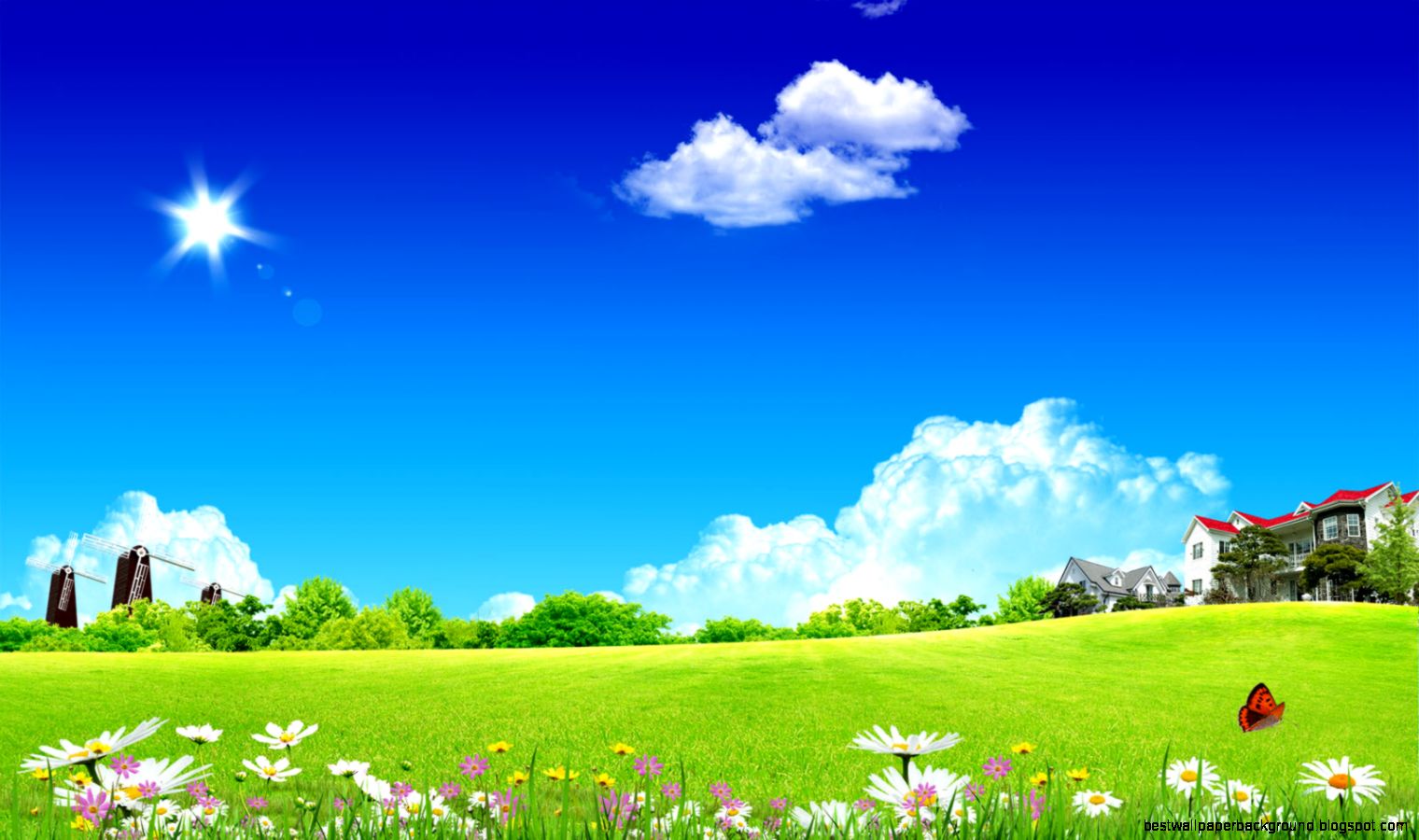 Beautiful nature wallpapers with trees and grass