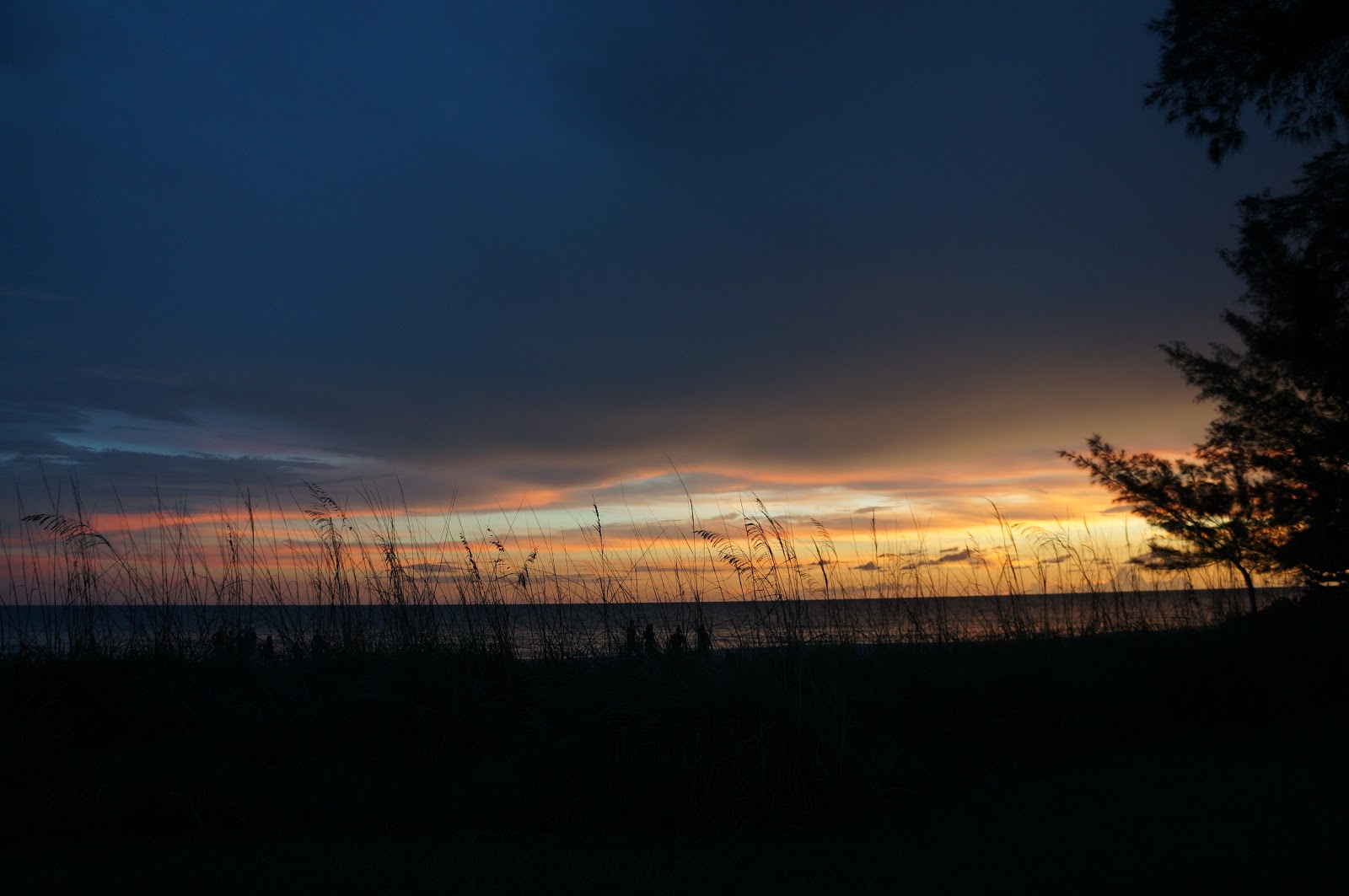 musings florida snow shovel