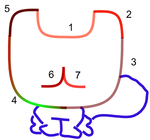 Нарисовать семь красных перпендикулярных линий видео