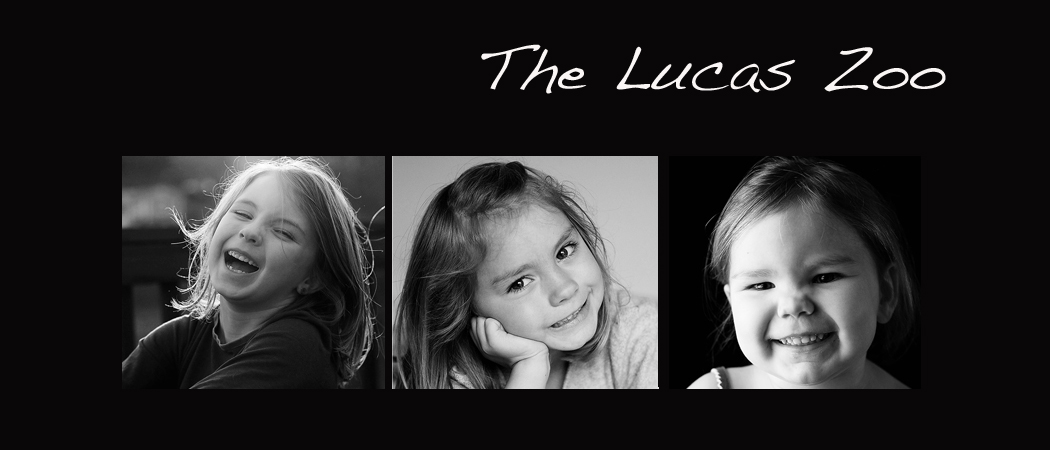 The Lucas Zoo