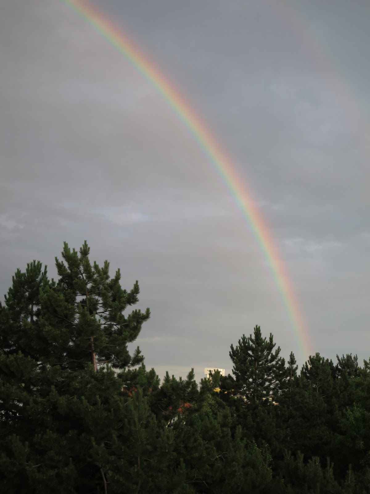 Fliederbaum: Himmel mit Regenbogen, ein Kartoffel-Salat und apulische ...