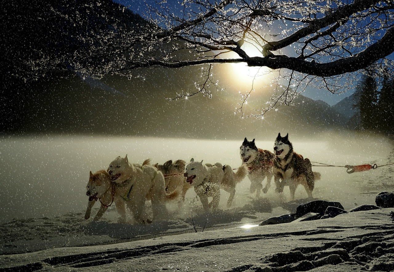 Race to the richness - The Illusion Race to the richness - The Illusion