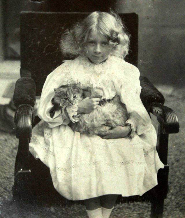 Lovely Found Snaps of Little Girls With Their Kittens Over 100 Years ...