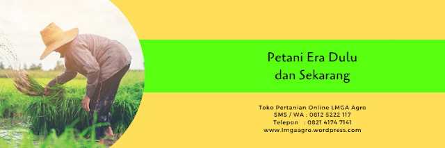 petani,pertanian,usaha pertanian,profesi,budidaya tanaman,lmga agro