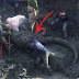 These Farmers Thought That They Hit Something Underground Until They Found Out That This Was A Woolly Mammoth!