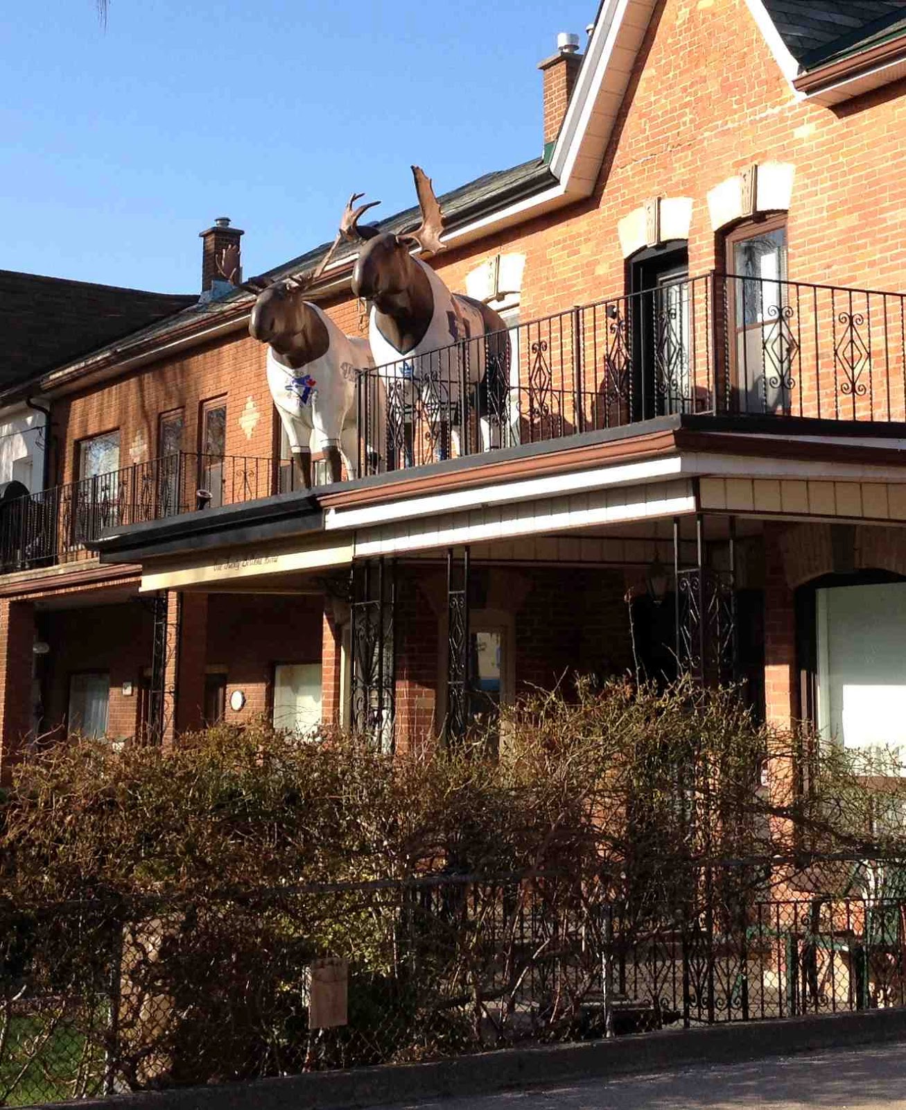 Recursivity Second Story Moose