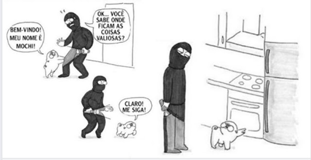 como é ter um shih tzu