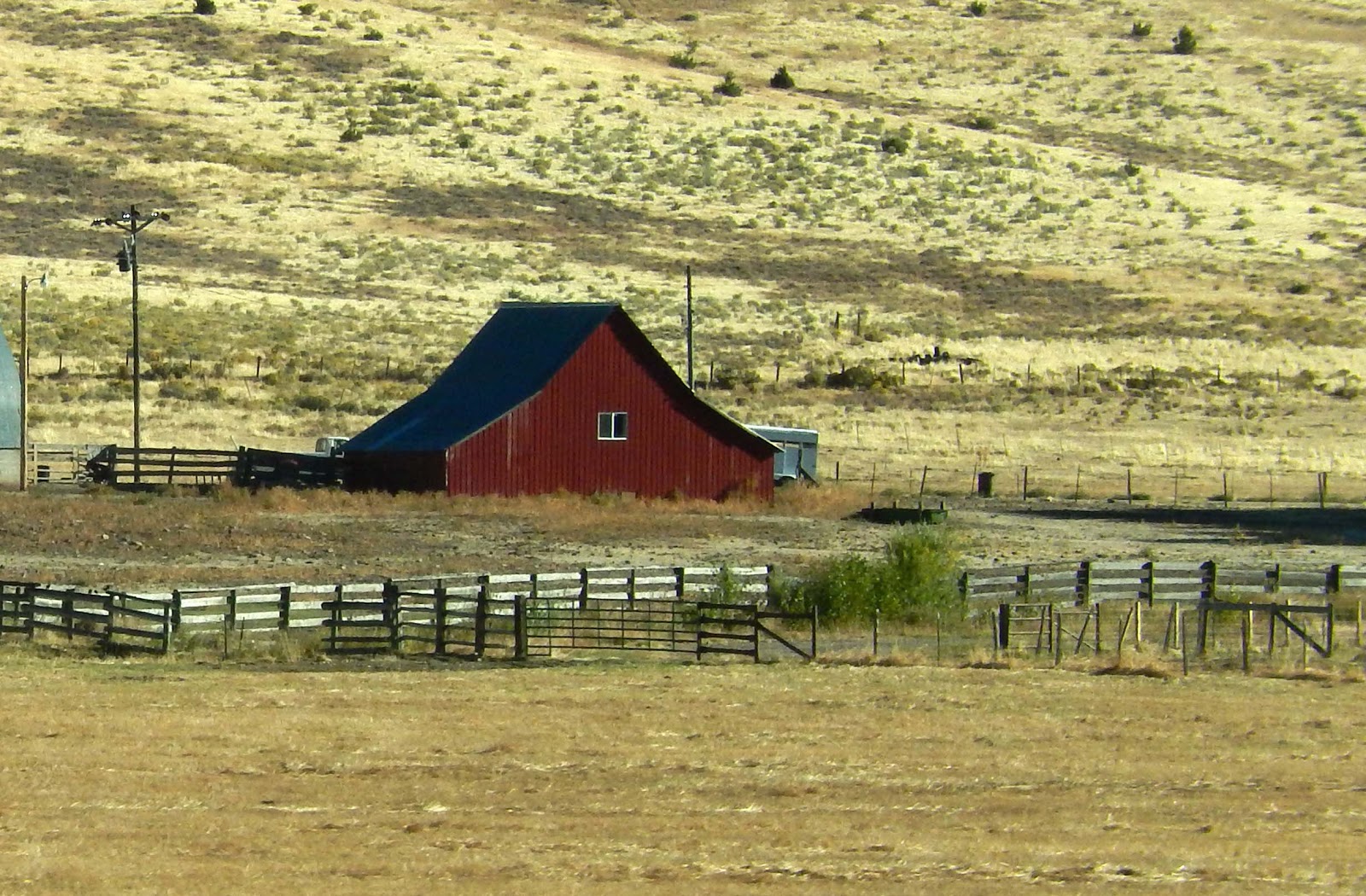 Cat Patches John Day, Oregon, to Home
