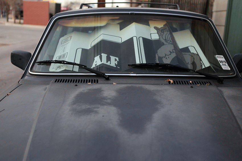 An Alf sunscreen in the windshield of an old Volvo.