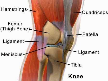 Home Remedies For Painful Knee Joints or osteoarthritis ~ Medical Health