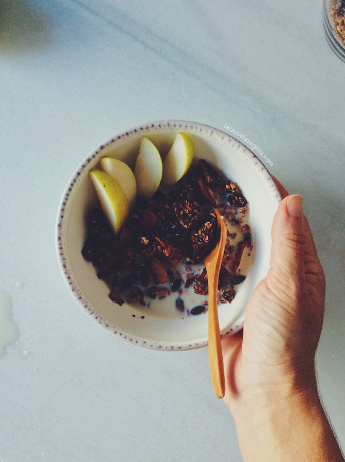Granola de chocolate casera