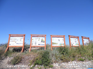 edukacyjne plansze ustawiono koło plaży w Sarbinowie Morskim koło Mielna - częsty widok nad Bałtykiem