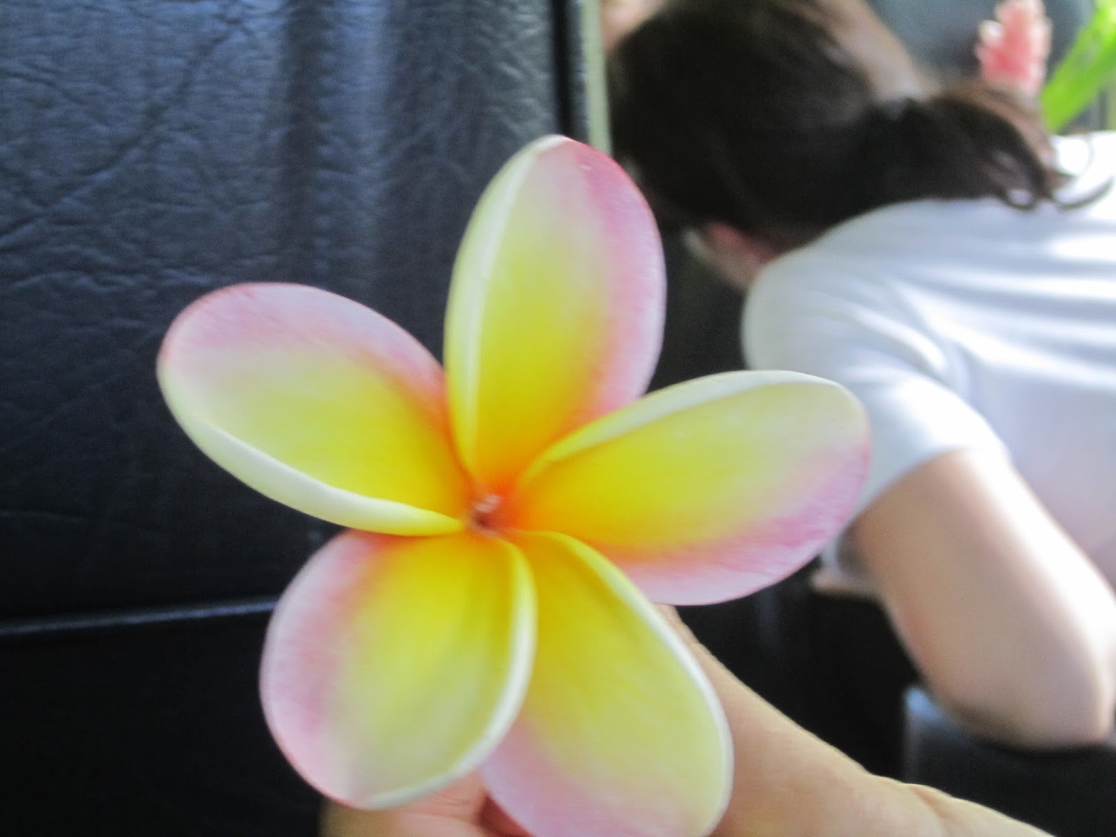 Maui, Hawaii | Making Your Family Vacation Memorable Forever