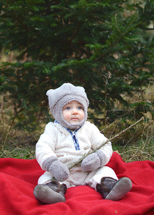 2017 Christmas Tree Hunting | My Darling Days 2017 Christmas Tree Hunting | My Darling Days